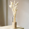 Natural Dried Grass Reeds